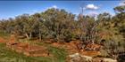 Appealinna Ruins - SA (PBH3 0018066)