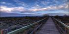 Arid Lands - Port Augusta - SA SQ (PBH3 00 21672)