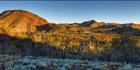 Arkaroola Village - SA (PBH3 00 18399)
