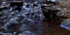 Atherton Waterfall Vertical - QLD (PB00 2345)