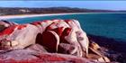 Bay of Fires 14 - TAS (PB00 4372)
