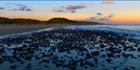 Beechford Sunrise - TAS (PBH3 00 0661)