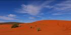 Beltana Station - SA (PBH3 00 22060)