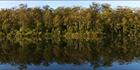 Big Brook Dam - WA (PBH3 00 4535)