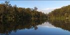Big Brook Dam - WA (PBH3 00 4537)