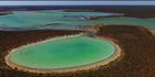 Big Lagoon - Shark Bay - WA (PBH3 00 7868)