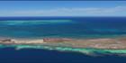 Big Rat, Little Rat - Abrolhos - WA (PBH3 00 4780)