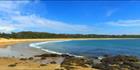 Black Head - NSW H (PBH3 00  0223)
