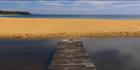 Black Head - NSW H (PBH3 00  0225)