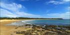 Black Head - NSW SQ (PBH3 00  0223)