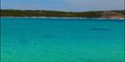 Blue Haven - Esperance - WA V (PBH3 00 0962)