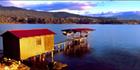 Boat Shed at Snug - TAS (PB00 4401)