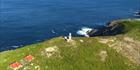 Breaksea Island Lighthouse - WA (PBH3 00 2783)