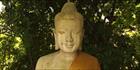 Buddha (PBH3 00 5832)