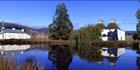 Bushy Park Reflections - TAS (PB00 5572)