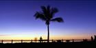 Cable Beach Silhouette Sunset - WA (PB00 4465)