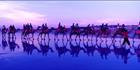 Camel Ride - Broome - WA (PB00 4076)