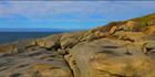 Cape Arid - WA H (PBH3 00 0901)