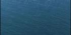 Cape Don Boat - NT (PBH3 00 12535)