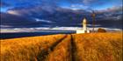 Cape St Albans Lighthouse - SA SQ (PBH3 00 31484)