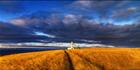 Cape St Albans Lighthouse - SA T (PBH3 00 31481)