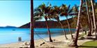 Club Crocadile Hammock - QLD (PB003465)