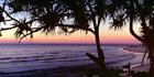 Coolangatta Sunset with Pandanus - QLD (PB00 4645)