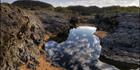 Copperfield Gorge - QLD SQ (PBH3 00  13131)