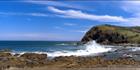 Crescent Head - Pebbly Beach - NSW (PB00 3842)