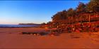 Dicky Beach Boardwalk 2 - QLD (PB 003268)