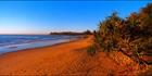 Dicky Beach Panadanus 1 - QLD (PB 003273)