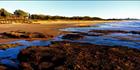 Dicky Beach Rocks 1 - QLD (PB 003274)