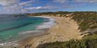 Dolphin Bay - SA T (PBH3 00 30317)