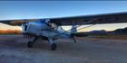 Doug's Auster - SA (PBH3 00 18523)