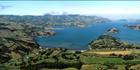 Duvuachelle - NZ (PB00 2618)