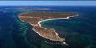 East Wallabi Island - WA H (PBH3 00 7456)
