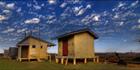 Einsaleigh Station  - QLD T (PBH3 00 13116)