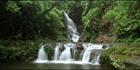 Ellabanna Falls - Lamington NP - QLD