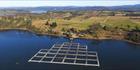 Fish Farm - TAS (PBH3 00 27990)