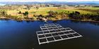 Fish Farm - TAS  T (PBH3 00 27991)