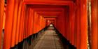 Fuishi Inari - Japan (PB H3D SQ 000097)