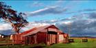 Grafton Shed - NSW (PB 001974)