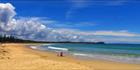 Grants Beach - Laurieton - NSW H (PBH3 00 0204)