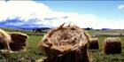 Hay Bales Close - TAS (PB00 1757)