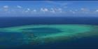 Helsdon Reef - QLD (PBH3 00 13466)