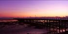 Hervey Bay Jetty - QLD (PB00 4747)