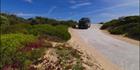 Innes National Park - SA SQ (PBH3 00 30257)