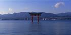Floating Torii - Japan (PB00 6103)