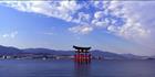 Floating Torii - Japan (PB00 6104)