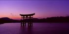 Floating Torii - Japan (PB00 6106)
